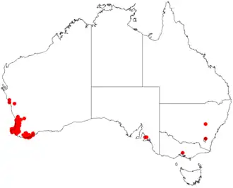 Description de l'image Darwinia citriodoraDistMap7.png.