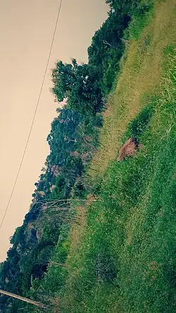 Kpingni, l'un des dix arrondissements de la commune de Dassa-Zoumè dans le département des Collines au Bénin.
