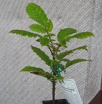 Description de cette image, également commentée ci-après