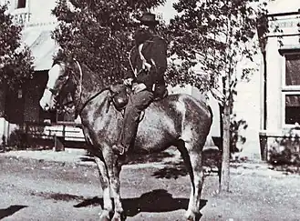 Cheval du Cap au début du XXe&nbsp;siècle, avant 1914