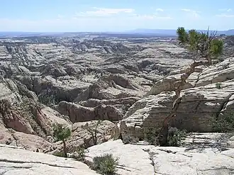 Box-Death Hollow Wilderness