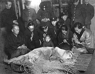 La dernière photo connue de Hachikō, photographié le jour de sa mort, avec la compagne de son propriétaire Yaeko Ueno (Yaeko Sakano) et le personnel de la gare à Tokyo, le 8 mars 1935.