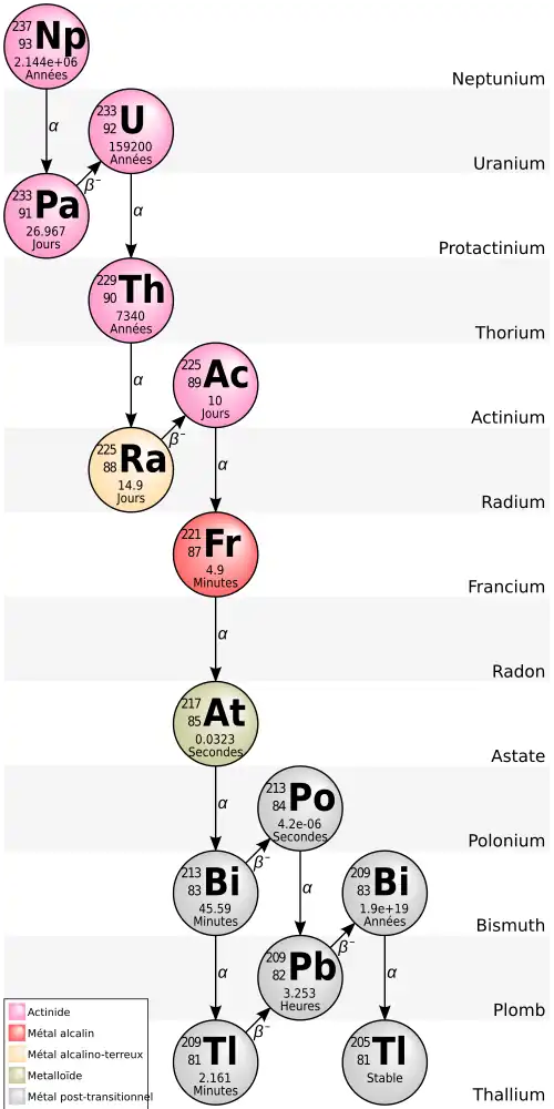 Une représentation de la chaîne de désintégration du neptunium 237.