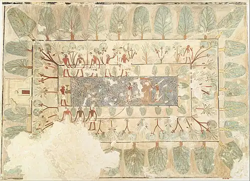 Peinture murale : Jardin de Rekhmirê. Règnes Thoutmôsis&nbsp;III-Amenhotep&nbsp;II. Frise d'arbres à myrrhe rabattue sur les quatre côtés. Plan d'eau vu de dessus et figures de profil.