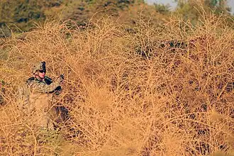 Soldat américain dans les buissons à Baïji en octobre 2008.