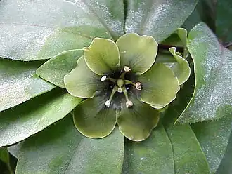 Description de cette image, également commentée ci-après