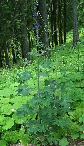 Description de cette image, également commentée ci-après