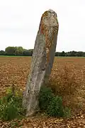 Le menhir vu de l'Est.