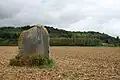 Le menhir vu du Nord avec en arrière-plan la Forêt d'Halatte.