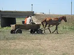 Photo montrant un cheval tirant une charrette avec deux personnes dedans