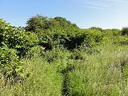 Le puits dans son environnement.