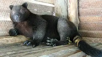 Description de cette image, également commentée ci-après