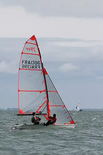 illustration de 29er