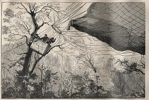 Gravure montrant trois hommes dans la nacelle d'un ballon tombé dans un arbre.