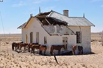 Chevaux sauvages près de la gare désaffectée de Garub.