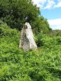 Menhirs de Kergoff