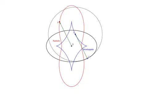 Une ellipse, sa développée (en bleu) et sa radiale (en rouge)
