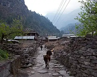 Dharapani (Manang)