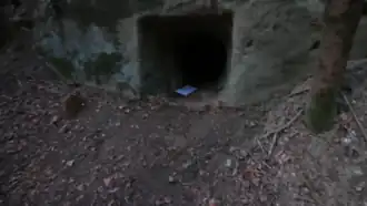 Extérieur de la grotte à Maurice