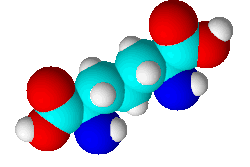 Image illustrative de l’article Acide diaminopimélique