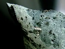 Diamant octaédrique, approx. 1,8 carat (6&nbsp;mm), sur une matrice de kimberlite, Finsch Diamond Mine, Afrique du Sud.