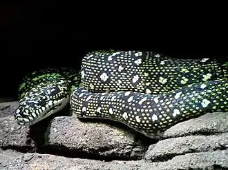 Description de cette image, également commentée ci-après