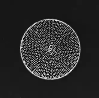 Description de cette image, également commentée ci-après