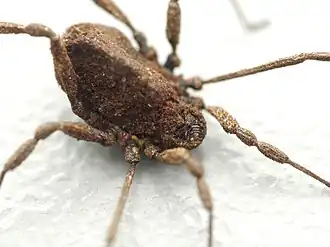 Description de cette image, également commentée ci-après