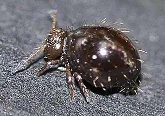 Description de cette image, également commentée ci-après