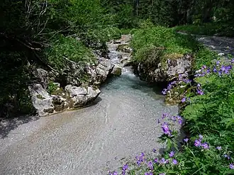 Image illustrative de l’article Dießbach (Saalach)