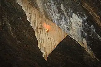 Draperie, grotte du Dragon, Syrau, Allemagne.