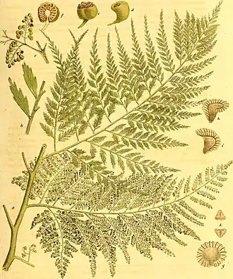 Description de cette image, également commentée ci-après