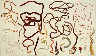 Différents vers Nemertea.