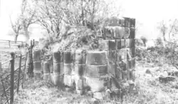 Photographie en noir et blanc d'une colonne polylobée dont il ne reste que la base, au milieu de broussailles