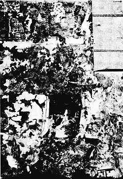 Fresque dite des Dioscures