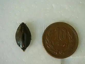 Description de cette image, également commentée ci-après