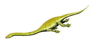 Dinocephalosaurus