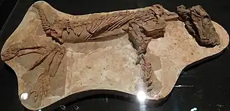 Description de cette image, également commentée ci-après