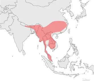 Carte montrant la distribution de la Panthère nébuleuse dans les années 1990 sous forme d'une grande zone continue couvrant la partie continentale de l'Asie du sud-est.  Cette zone s'étendent à l'ouest jusqu'au sud-est du Népal, à l'est jusque près de Shanghai et au sud jusqu'à englober la péninsule malaise.