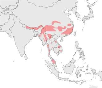 Carte montrant la distribution de la Panthère nébuleuse sous forme d'une petite vingtaine de zones non-contigües, dont les plus grandes se situent en Chine et au Myanmar.