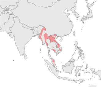 Carte des zones de présence confirmée de la Panthère nébuleuse sur la péninsule indochinoise en 2009. Parmi les 15 zones mentionnées, les plus grandes se situent au Myanmar et au Laos.