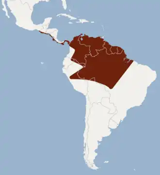 Description de l'image Distribution of Molossus coibensis.png.