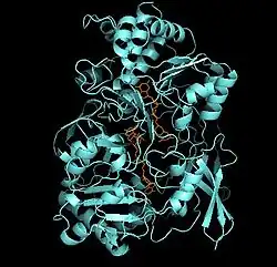 Description de cette image, également commentée ci-après