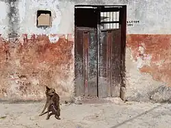 Image illustrative de l’article La Maison de la mort certaine