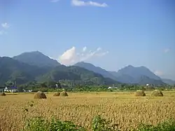 Doi Nang Non, district de Mae Sai