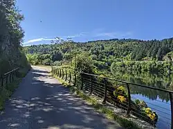 Photographie en couleur d'une voie en asphalte à gauche d'une rivière au milieu de la forêt.