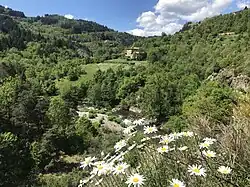 Photographie en couleur d'une petite vallée principalement composée de forêts, d'une rivière en contrebas et de quelques maisons.