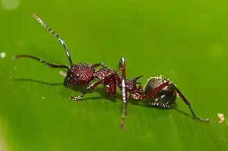 Description de cette image, également commentée ci-après