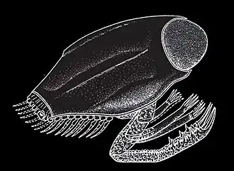 Description de cette image, également commentée ci-après