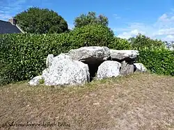 Dolmen de Lannek-er-Men